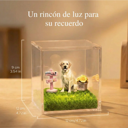 MemoCube™ - Recuerdo Holográfico Personalizado